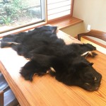 柚木元 - 熊の毛皮がお迎えです