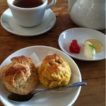ムジカホールカフェ - スコーンセット