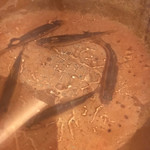 銀座 しのはら - もろこ