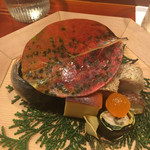 津の守坂 小柴 - 八寸