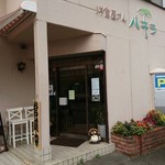 パキラ - 