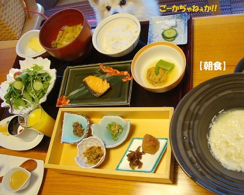 鬼怒川 湯わん 東武ワールドスクウェア 旅館 食べログ