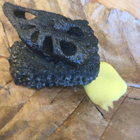 イル ギオットーネ ディ ピュー - 焦げちゃった！？蓮根 竹炭。海老のすり身を蓮根で挟んで揚げたもの。 和辛子でいただきます。蓮根のシャキシャキ感がいい。 和を感じる前菜。