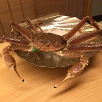 道人 - 本日の主役、ニーガ・ザタイ(間人蟹)　逃げちゃだめだ、逃げちゃだめだ…