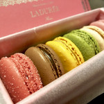 ラデュレ 横浜店