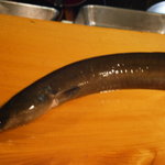 うなぎ屋酒坊・画荘 越後屋 - 貴重な天然鰻