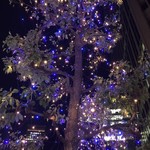 キャトルラパン - クリスマスシーズン♪