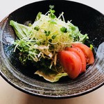 plain raw vegetable salad