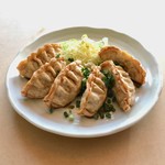 Fried venison Gyoza / Dumpling