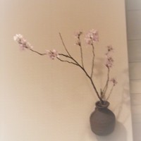 祇園ゆやま - 