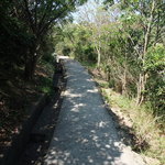 おらが茶屋 - 坂道をのんびりと…