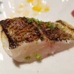 馳走 啐啄一十  - (12)カマス(神奈川県佐島産)(4日寝かせ)
      産卵期は夏、旬は秋～冬
      瀬戸内海産とは異なり脂のりが素晴らしく、炙って加熱すると芳ばしい。
      旨みも増して、美味しい。