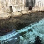 ホテルウエルシーズン浜名湖 - 