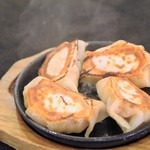 Meat Gyoza / Dumpling (4 pieces)