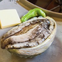 魚庵 千畳敷 - 鮑の踊り焼き
                生簀からあげたばかりの新鮮な鮑！
