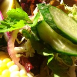 TOMY カナダハウス - 