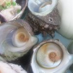 新島水産 - サザエ