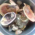 新島水産 - 食べ終わったらこっちに放り込みます。