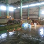 新島水産 - 水槽全体