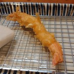 Kappou Tempura Tentsuyu - シラサエビ