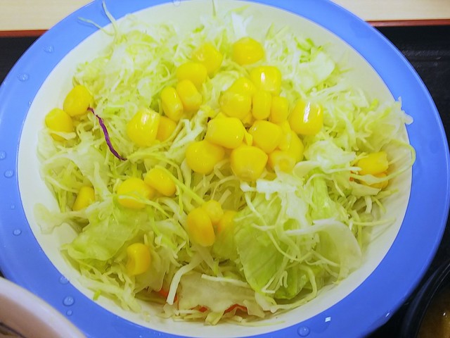 松屋 新在家店 新在家 牛丼 食べログ 松屋 新在家店 新在家 牛丼 食べログ