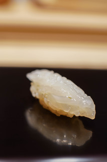 Sushisasaki - 白魷魚（しろいか）（=劍先魷魚（けんさきいか））