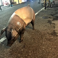 イベリコ屋 心斎橋店 - 