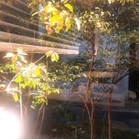 bb9 - 