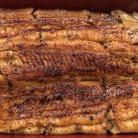 うなぎ時任 - うな重
