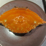 日本料理 TOBIUME - 開演　凝縮