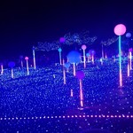 フレイズ フェイマス ピッツェリア - 『フレイズ フェイマス ピッツェリア』近くの檜町公園