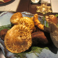 日本料理 TOBIUME - メイン　山盛り松茸