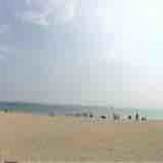 소문난 튀김・전 - 