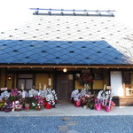 心根 - お祝いの胡蝶蘭ずらり