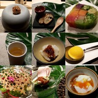 シブ ニシナカス - 