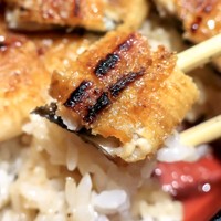 炭焼鰻 寝床 福島店 - 