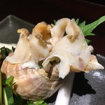 Wasabi - つぶ貝。沖縄でこれには驚いた。