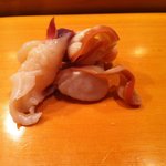 小判寿司 - とり貝