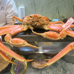 寿司栄 - 松葉蟹