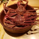 かにじぇんぬ 北新地 - 