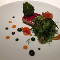 ロドラント ミノルナキジン - 