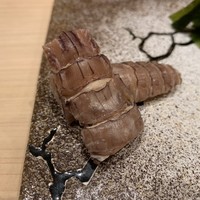 鮨 つきうだ - 