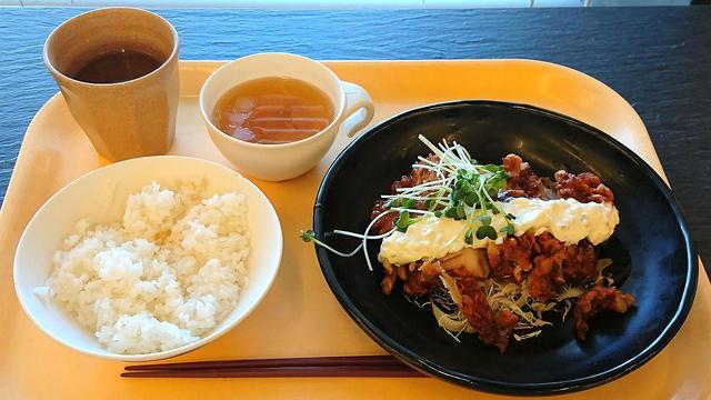 Kokugakuindaigakuseikyoumemoriaruresutoran 惠比壽 學生餐廳 食べログ 繁體中文