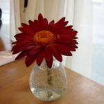 リコプラス - テーブルのお花