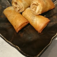 CINA New Modern Chinese - 春巻