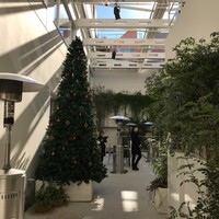 ENEKO Tokyo - ☆８エントランス＆クリスマスツリー
