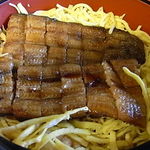 山茶林泉 - RIMG0090_20081206112332.jpg