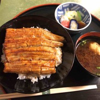 うなぎ秋本 - 