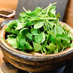 浅草じゅうろく - 秋田産せり＆根っ子