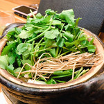 浅草じゅうろく - 秋田産せり＆根っ子